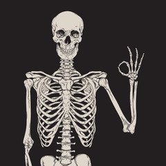 Human skeleton posing isolated over black background vector illustration. Hand drawn gothic style placard, poster or print design.