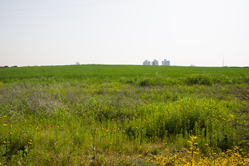 View through a wide green field to the city in the distance