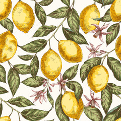 Lemons hand drawn vector seamless pattern