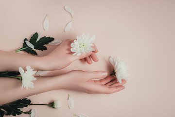 Obraz na płótnie Canvas Creative and fashion art skin care of hands and white flowers in hands of women. Female hand with white flowers on pink background. Cosmetics for hands anti wrinkle. Flat lay, top view, copy space