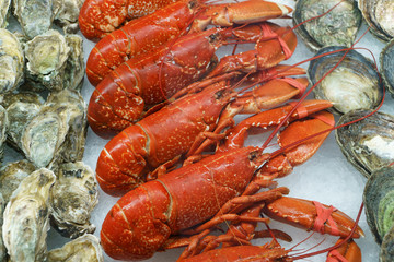 Close up image of fresh seafood on ice. Shallow depth of field with the focus on the lobster.