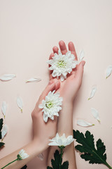 Creative and fashion art skin care of hands and white flowers in hands of women. Female hand with white flowers on pink background. Cosmetics for hands anti wrinkle. Flat lay, top view, copy space