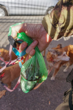 Bustine di cacca
