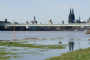 Hochwasser in Köln am Rhein