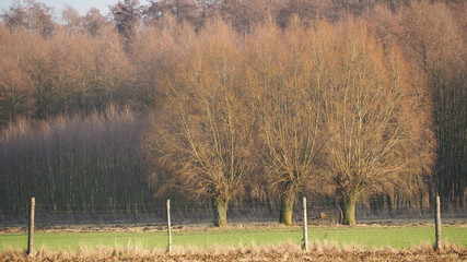 OLYMPUS DIGITAL CAMERA © Magorzata