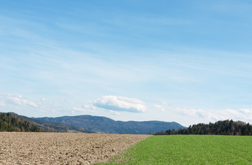 Rural landscape. Meadow and plowed field, against the background of mountains. A natural concept....
