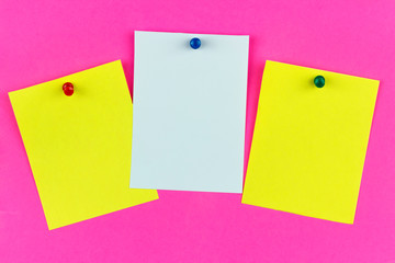 three color stickers on a pink background, copy spaсe