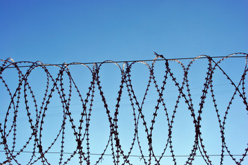 Jail fence top with barbed wire, winter blue bright sky background