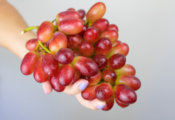 Woman hand holding a bunch  of fresh red grapes