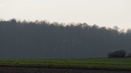 OLYMPUS DIGITAL CAMERA © Magorzata