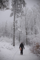 woman in the forest, winter