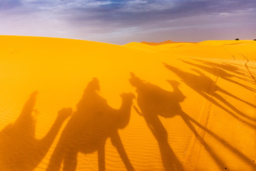 Fototapeta na wymiar Shadow of camels riding in the Sahara Desert, Merzouga, Morocco