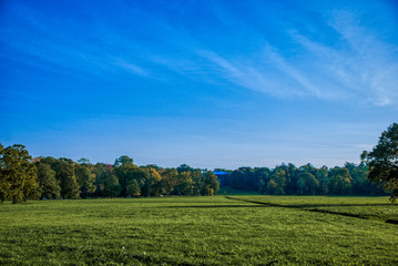 Autumn landscape in the city park