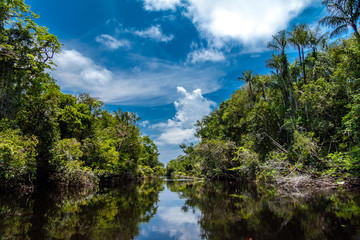 RIO NEGRO- AMAZONAS - BRASIL