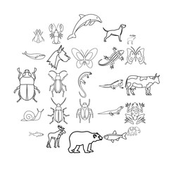 Artiodactyls icons set. Outline set of 25 artiodactyls vector icons for web isolated on white background