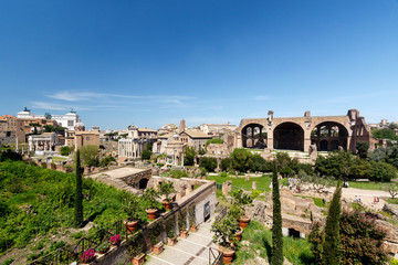 Wide angle view of the Roman Forum, with the The Basilica of Maxentius and Constantine, sometimes known as the Basilica Nova prominent in the picture 