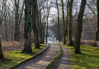 Footpath at citi park in winter day