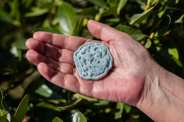 Hand holding a blue jade stone carved with oriental patterns with green leaves background