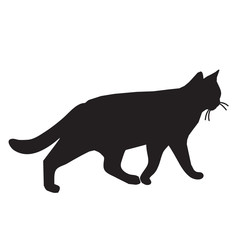 Cat vector silhouette illustration