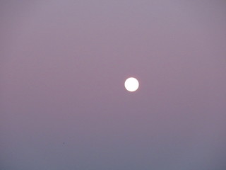 La lune dans ciel bleu et rose