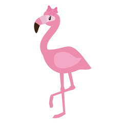Pink flamingo vector illustration 