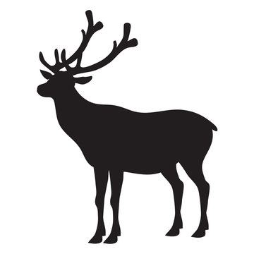 Deer silhouette vector illustration image
