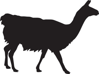 Llama silhouette vector illustration