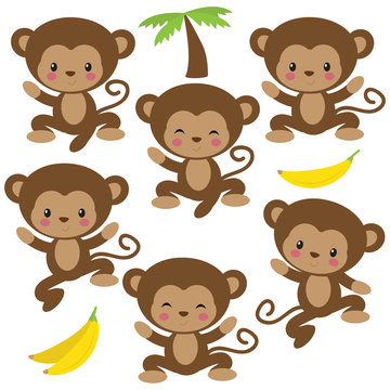 Monkeys vector illustration clip art