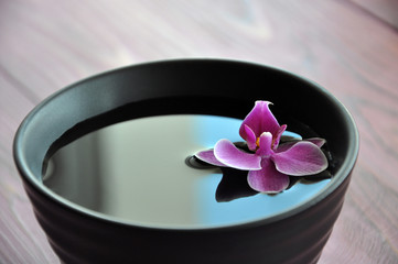 Fototapeta na wymiar Floating purple Phalaenopsis in a bowl