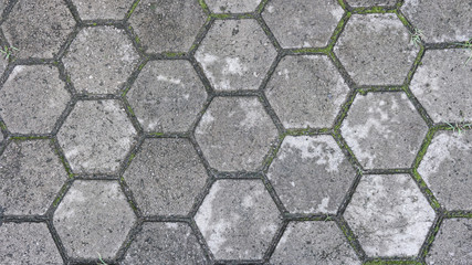 the Grey hexagon pattern of the tile floor