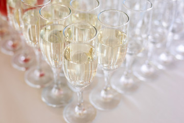 a row of glasses filled with champagne are lined up ready to be served