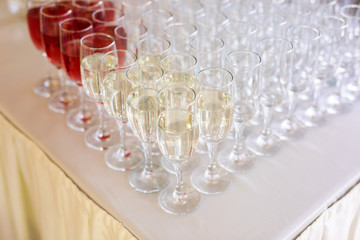 a row of glasses filled with champagne are lined up ready to be served