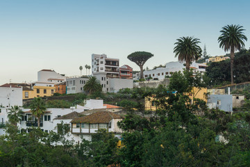 Icod de los Vinos town in Tenerife island