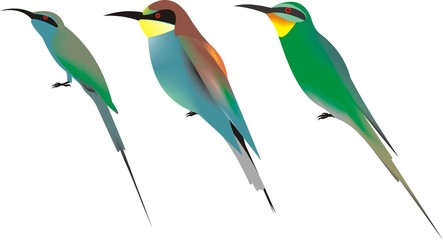 Three bee eater species