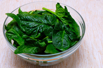 A bowl of green, fresh spinach on neutral background