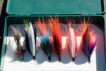 Fly Fishing Assortment - Steelhead Flies