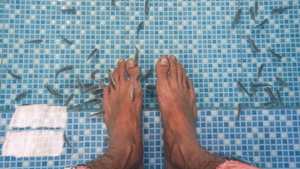 The Fish spa. Feet inside the water