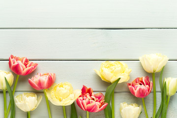 Spring flowers tulips on pastel colors background. Retro vintage style.