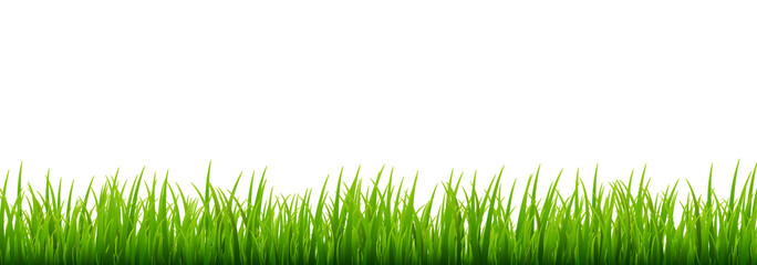 Green grass meadow border vector pattern. Spring or summer plant field lawn. Grass background