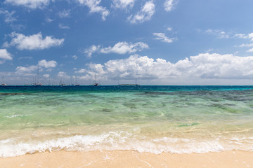 Saint Vincent and the Grenadines, Tobago Cays