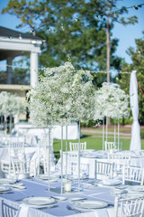 Babys Breath Outdoor Wedding Centerpices