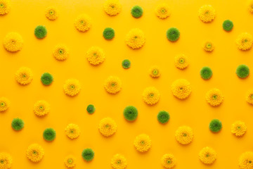 Yellow flower pattern on a yellow background.  Spring greeting card.