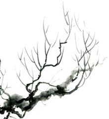 Watercolor tree branch