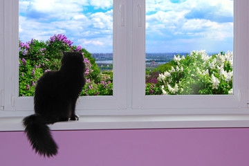 cat sit on windowsill and look out window overlooking blooming spring garden