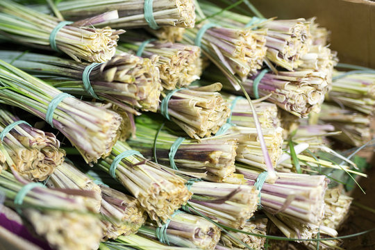 Bundles of decorative green beargrass at wholesale flower shop. Fresh green grass for flower bouquet decoration. floristics service