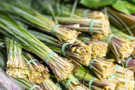 Bundles of decorative green beargrass at wholesale flower shop. Fresh green grass for flower bouquet decoration. floristics service