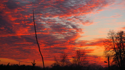 OLYMPUS DIGITAL CAMERA © Magorzata