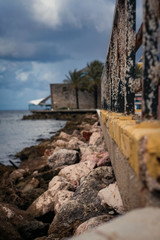 Coast of South American Island