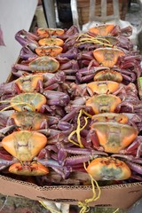 Crabs for sale in the street market