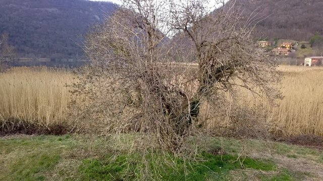 panorama dall'alto di lago riserva naturale vista da drone